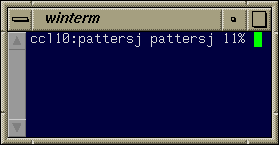 highlighted winterm window